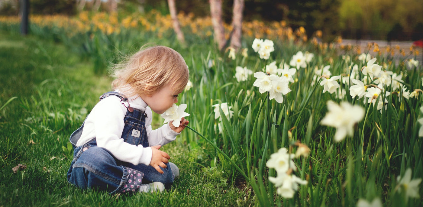 The Spring Equinox:  Celebrations in Cultures Around The World